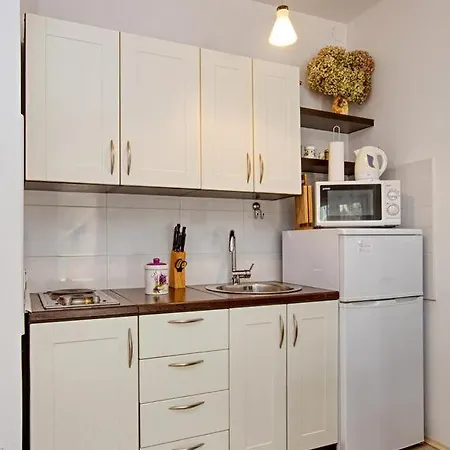 With Parking Space Stupin Celine, - 19462 公寓 罗戈兹尼察